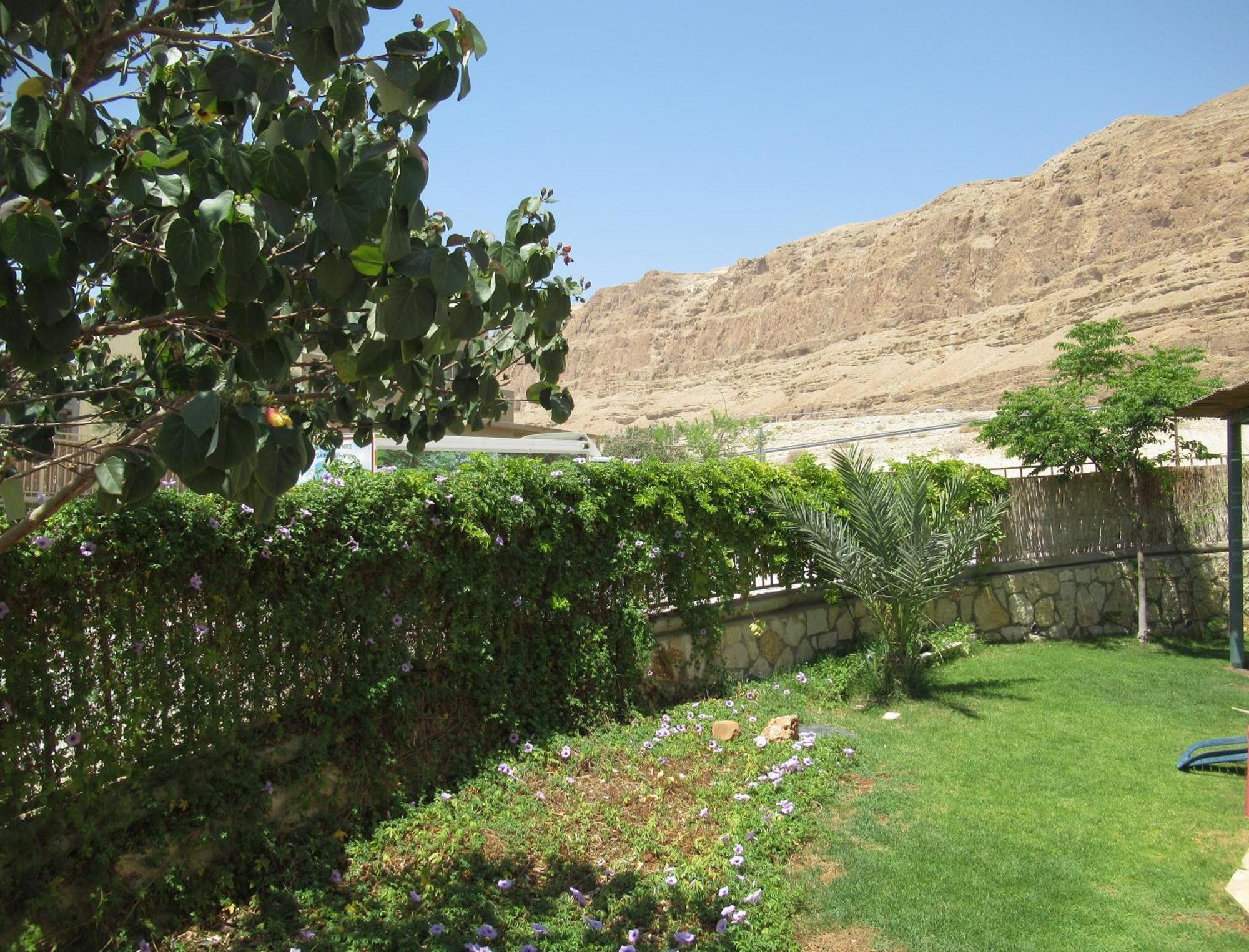 Unique&Warmy Place In The Dead Sea Avnat Bagian luar foto