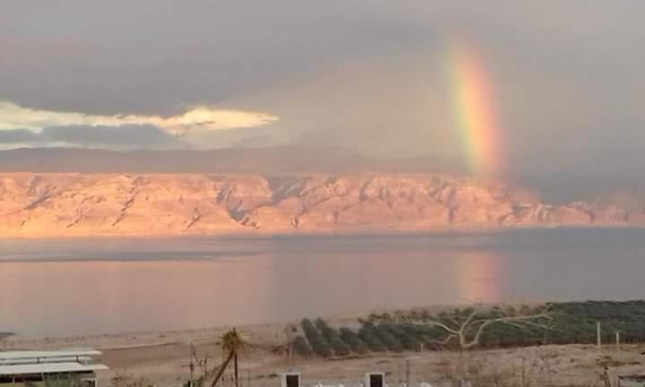 Unique&Warmy Place In The Dead Sea Avnat Bagian luar foto